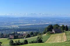 IMG-20250629-WA0019